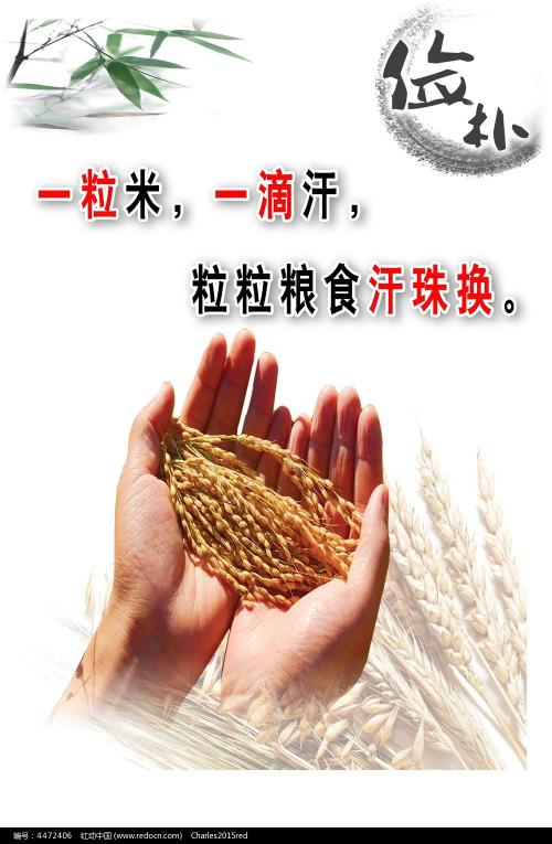 高中毕业证如何拿到